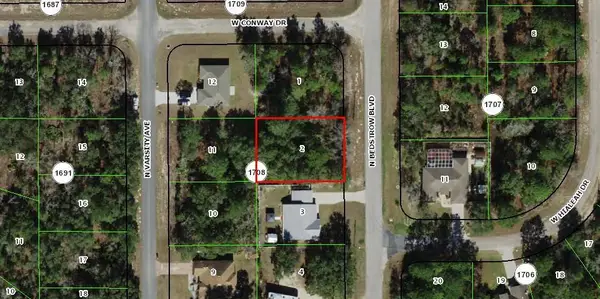 6691 N Bedstrow Boulevard, ,, FL 34434