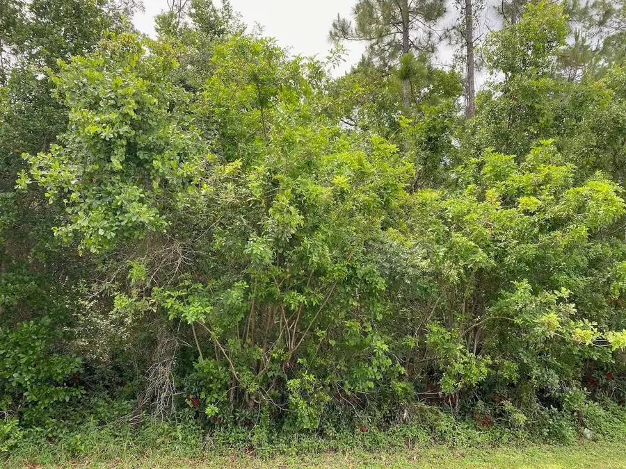 2351 Allamanda Drive, Indian Lake Estates, FL 33855 - #3