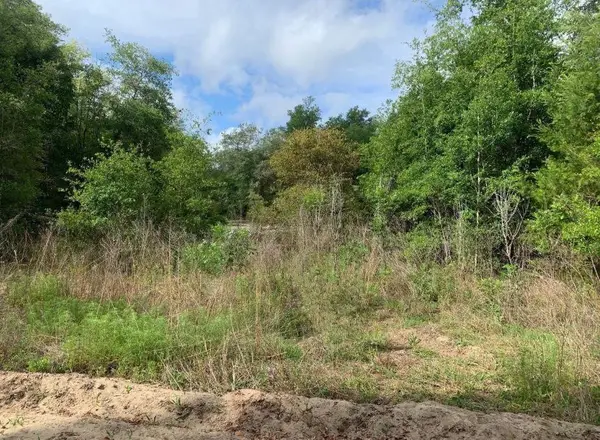 0 Douglas Drive, ,, FL 32148