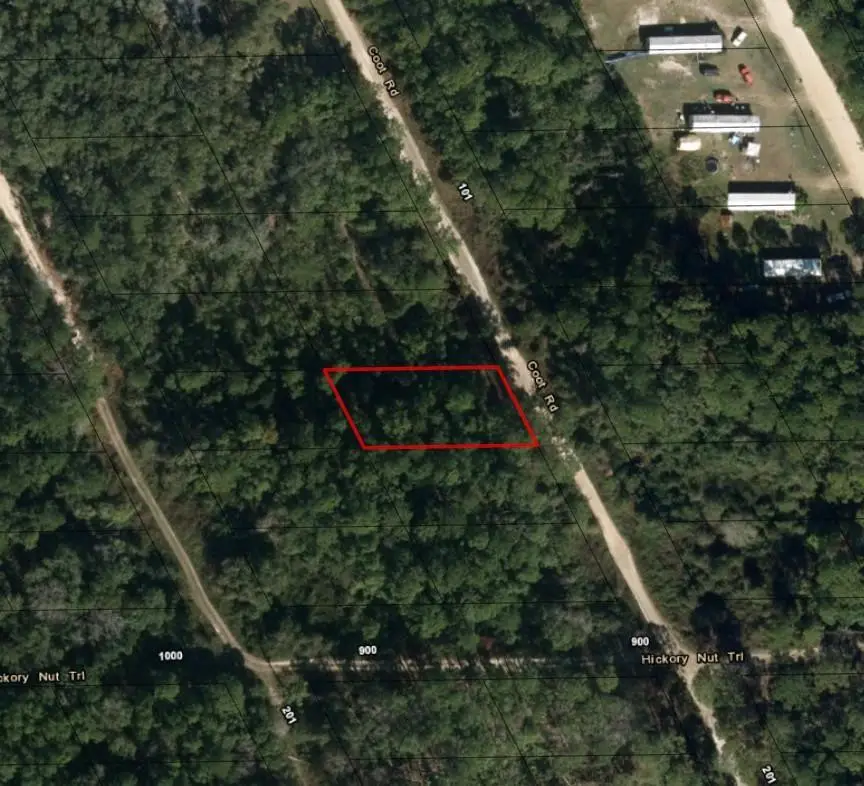 121 Coot Drive, Interlachen Florahome, FL 32148 - #2