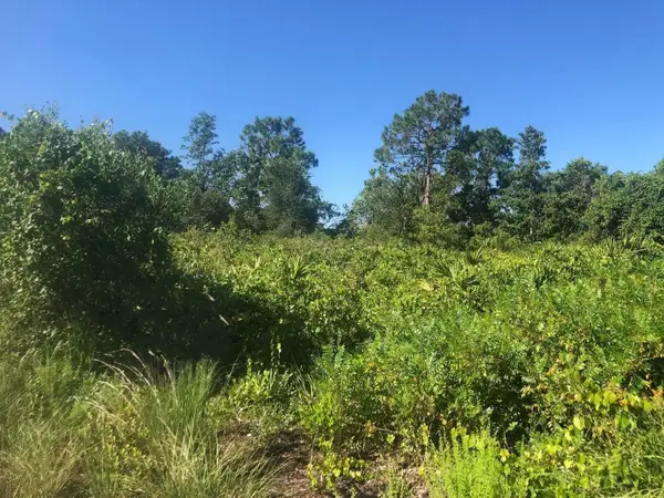 153 Disney Boulevard, ,, FL 33825