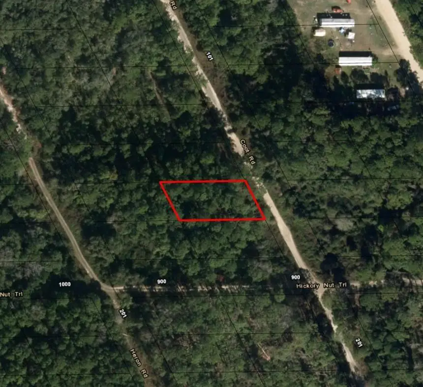 123 Coot Road, Satsuma, FL 32189 - #2