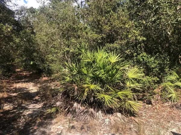 0 Oregon Street, ,, FL 32148