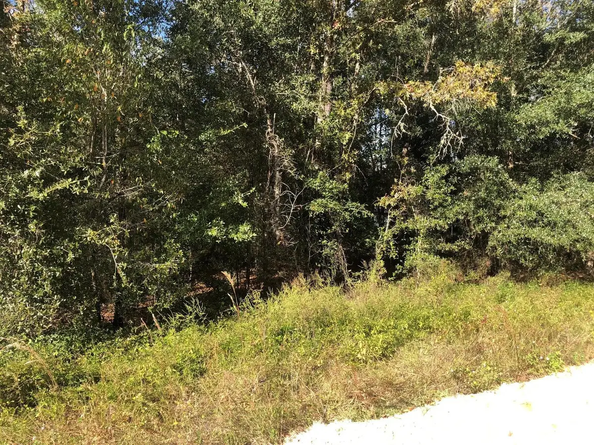 0 Evans Avenue, Interlachen Florahome, FL 32148 - #1