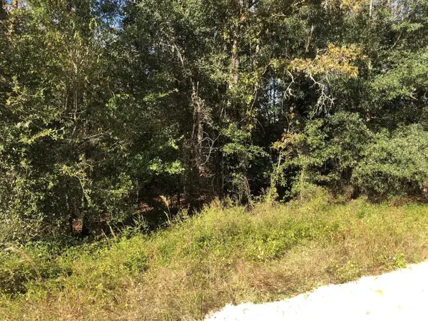 0 Evans Avenue, ,, FL 32148