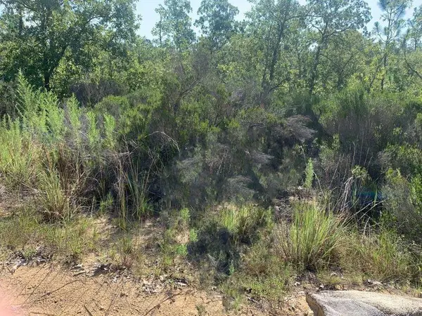 0 Manatee Street, ,, FL 32148