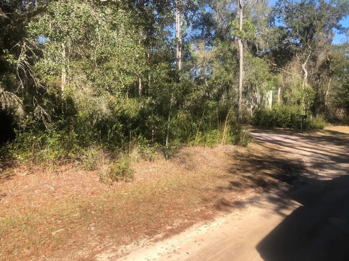 0 Lakeshore Terrace, Interlachen Florahome, FL 32148 - #1