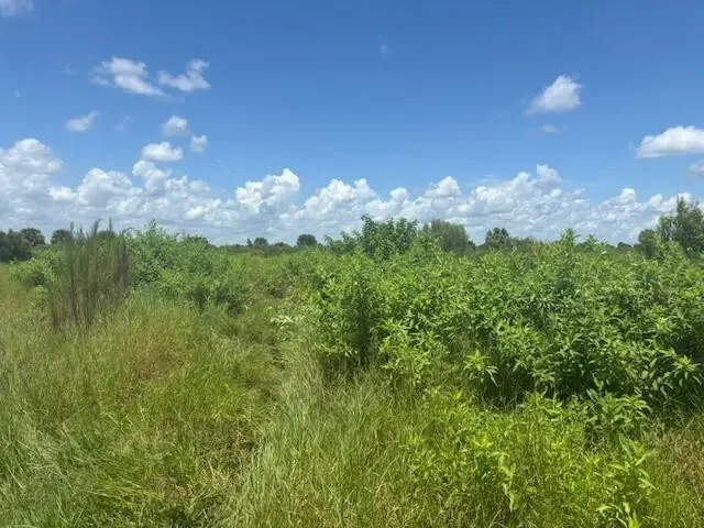 0 NW 318th Street, Okeechobee, FL 34972 - #1