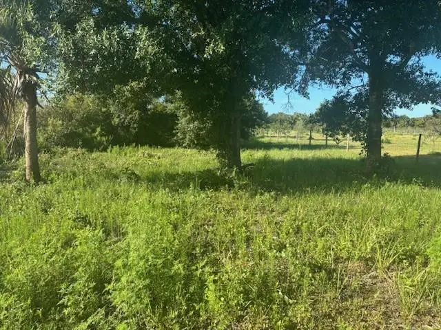 19216 NW 300th Street, Okeechobee, FL 34972 - #1
