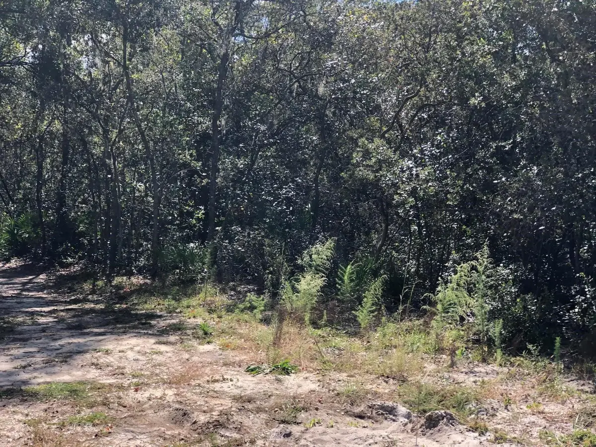 0 Maine Avenue, Interlachen Florahome, FL 32148 - #1