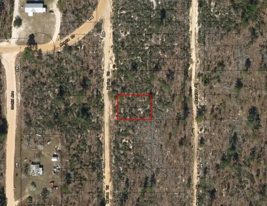 214 Marion Trail, Interlachen Florahome, FL 32148 - #2