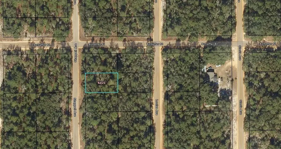 0 Shappell Avenue, Interlachen Florahome, FL 32148 - #2