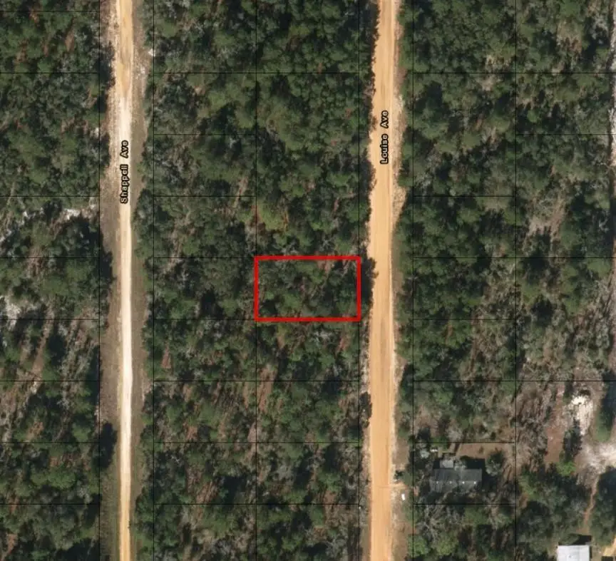 0 Louise Avenue, Interlachen Florahome, FL 32148 - #2
