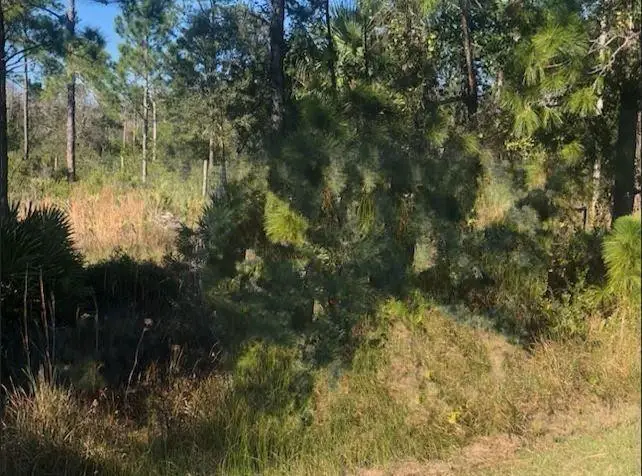 0 Kenansville, South And East Osceola, FL 34739 - #1