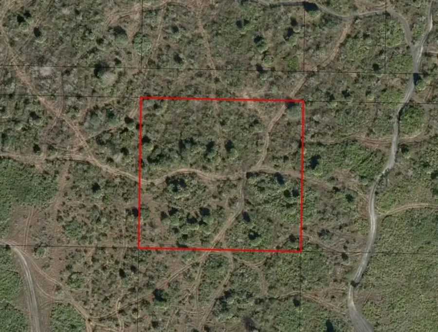 0 NW 312th Street, Okeechobee, FL 34972 - #2