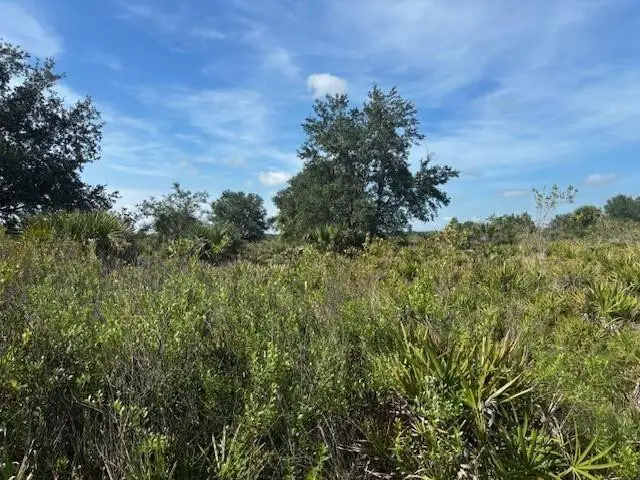 0 NW 306th Street, Okeechobee, FL 34972 - #1
