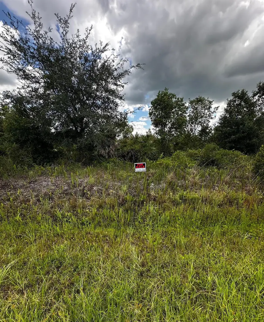 16114 NW 262nd Street, Okeechobee, FL 34972 - #2