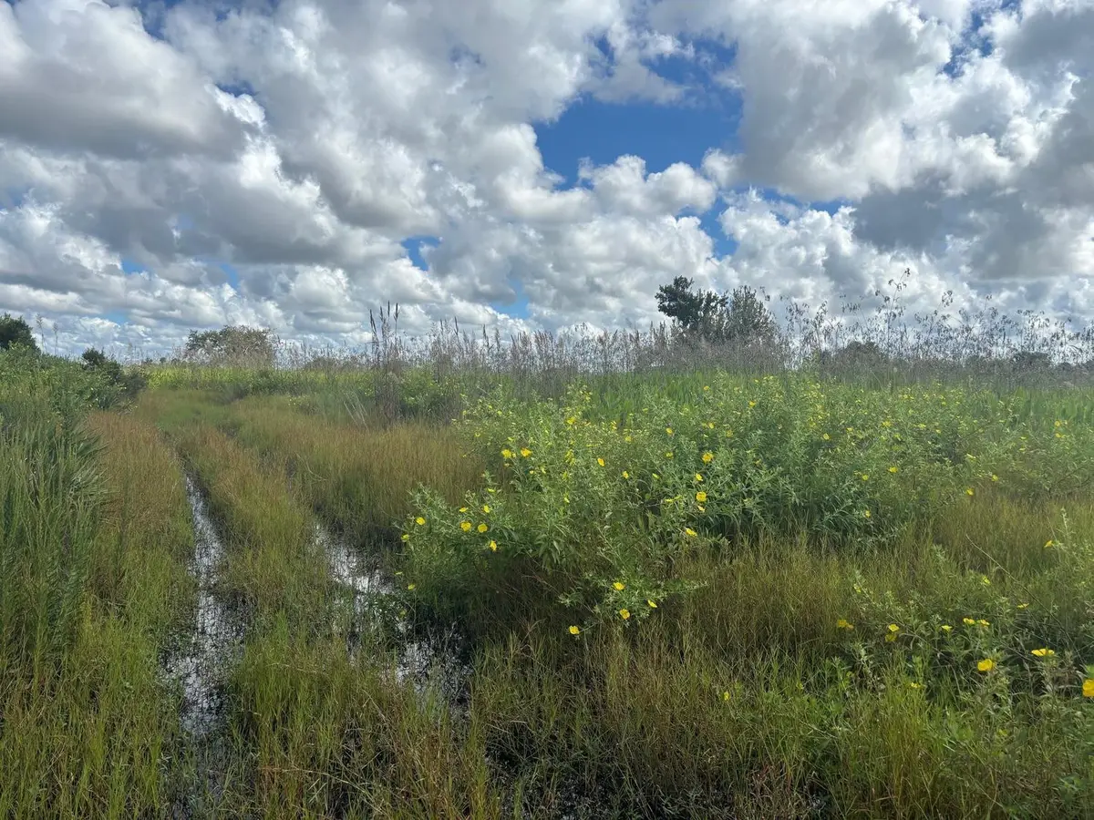 0 NW 316th Street, Okeechobee, FL 34972 - #1