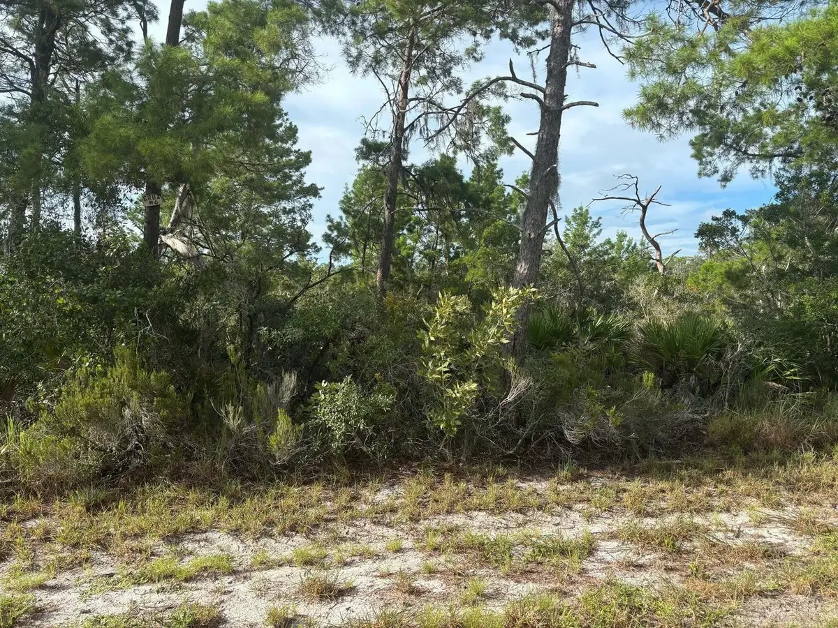 635 Boylston Street, Lake Placid, FL 33852 - #1