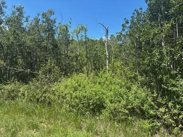 0 Sweet Hill Road, Polk City, FL 33868 - #2