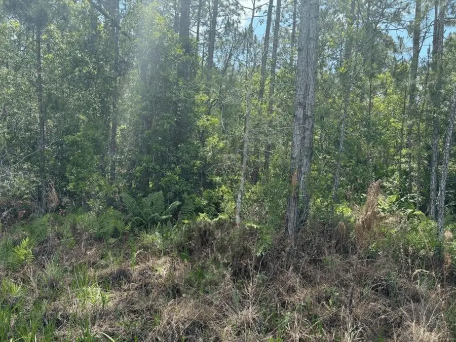 0 Holopaw Groves Road, South And East Osceola, FL 34772 - #2