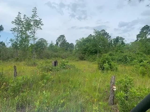 0 Holopaw Groves Road, South And East Osceola, FL 34772 - #1