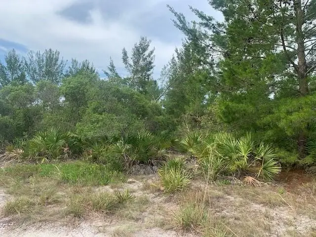 0 Holopaw Groves Road, South And East Osceola, FL 34772 - #2