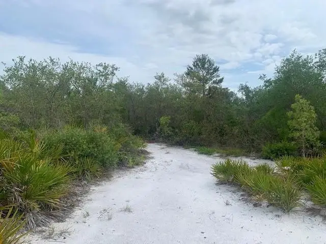 0 Holopaw Groves Road, South And East Osceola, FL 34772 - #3