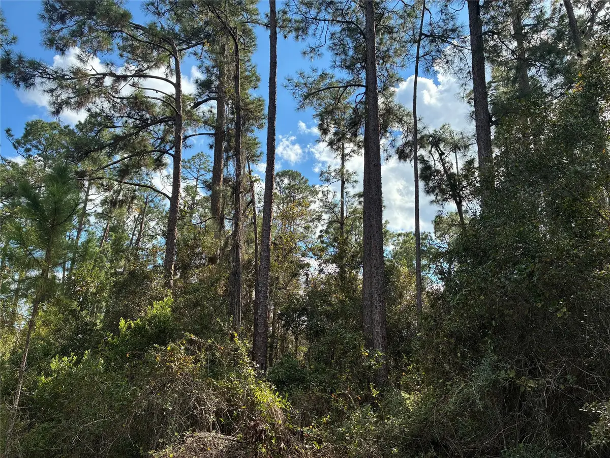 Lot 15 Park Avenue, Indian Lake Estates, FL 33855 - #1