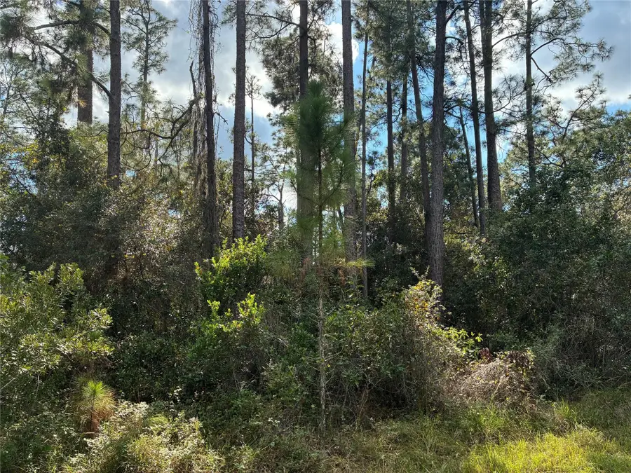 Lot 15 Park Avenue, Indian Lake Estates, FL 33855 - #2