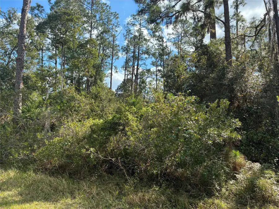 Lot 15 Park Avenue, Indian Lake Estates, FL 33855 - #3