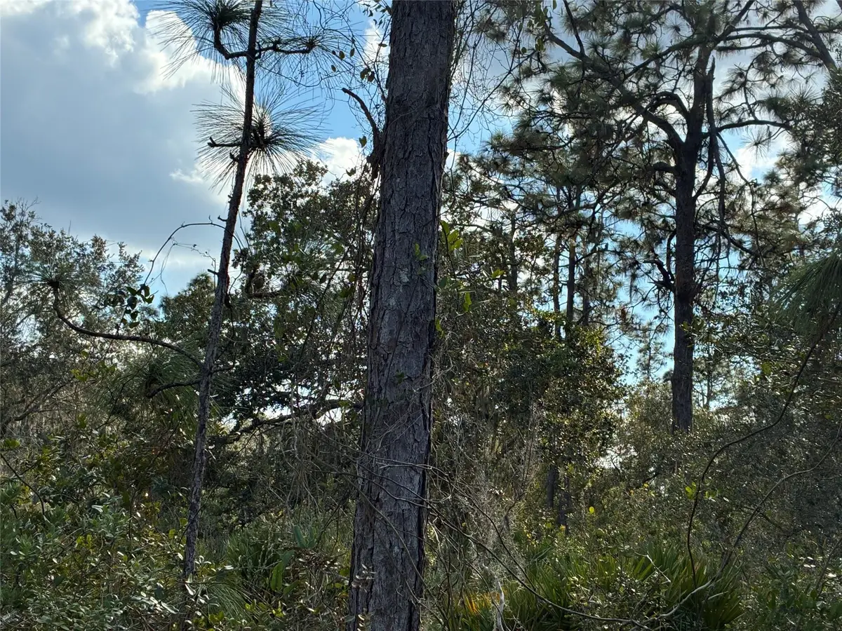 Lot 21 & 22 Plumosa Drive, Largo, FL  - #1