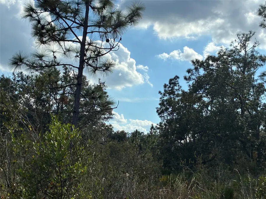 Lot 21 & 22 Plumosa Drive, Largo, FL  - #2
