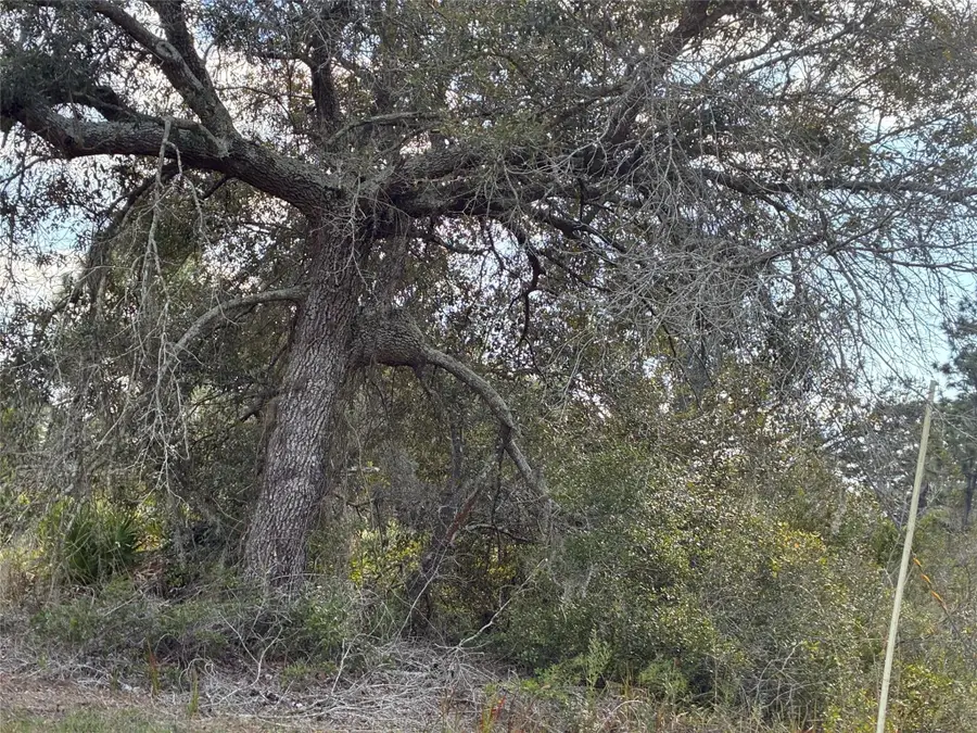 Lot 21 & 22 Plumosa Drive, Largo, FL  - #3