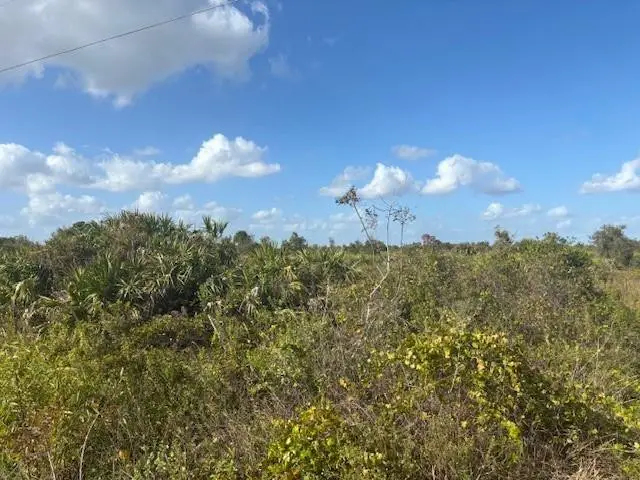 15463 NW 256th Street, Okeechobee, FL 34972 - #1