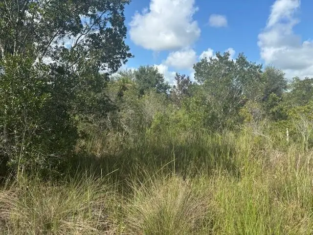 0 NW 316th Street, Okeechobee, FL 34972 - #1