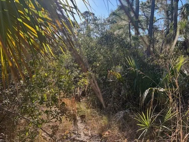 42260 93rd Avenue, Vero Beach, FL 32966 - #2