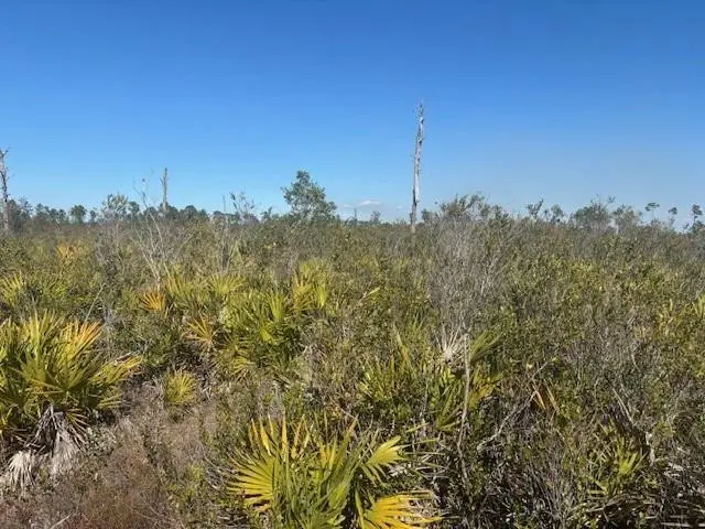0 Hwy 630e, Frostproof, FL 33843 - #2