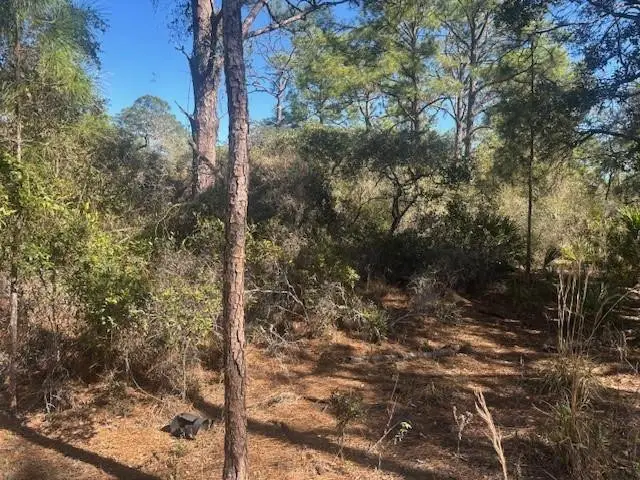 221 Rainbow Drive, Lake Placid, FL 33852 - #2