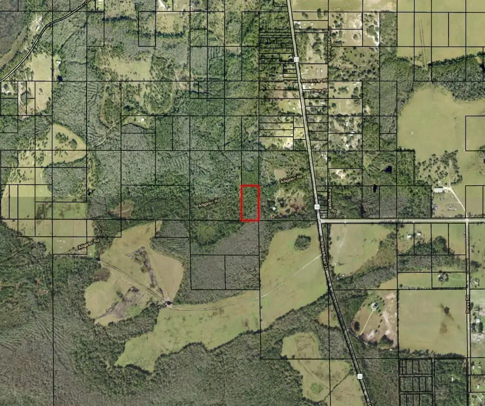 0 Alligator Road, Clermont, FL 33868 - #1