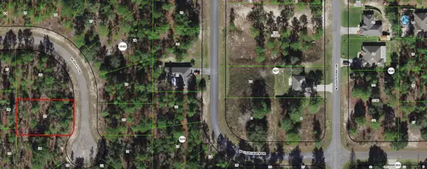 1020 W Riley Drive, ,, FL 34434