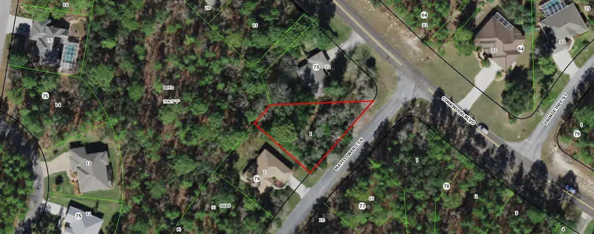 2 Mayflower Court S, Sugarmill Woods, FL 34446 - #1