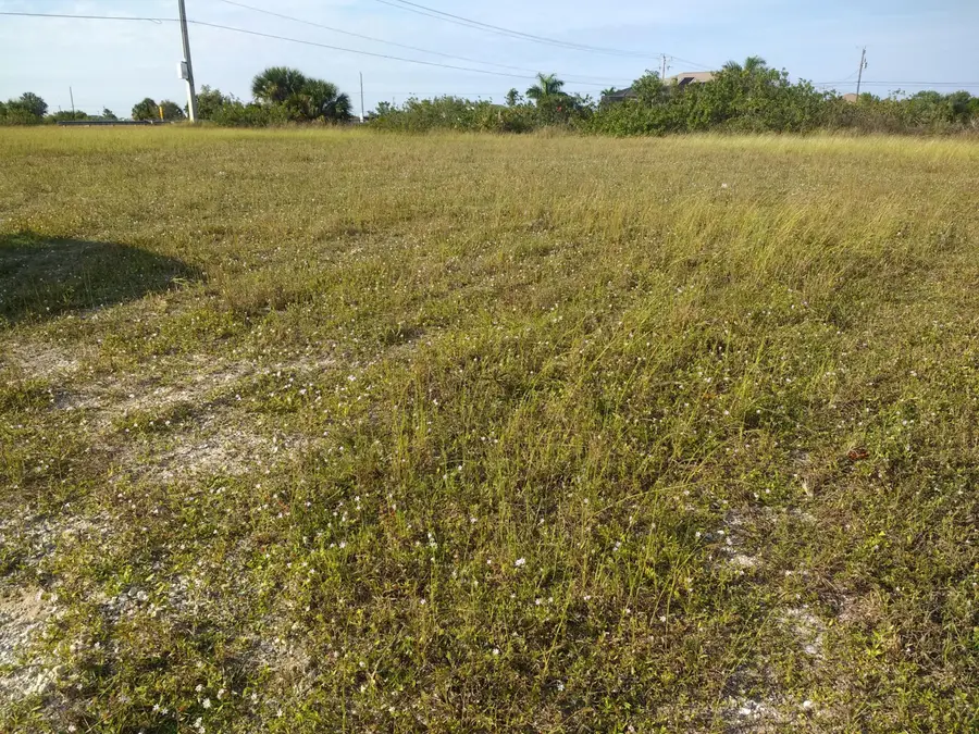 725 NW 8th Terrace, Cape Coral, FL 33993 - #3