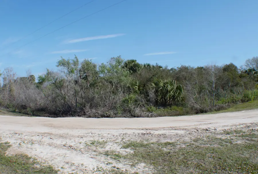 18781 NW 270th Street, Okeechobee, FL 34972 - #3
