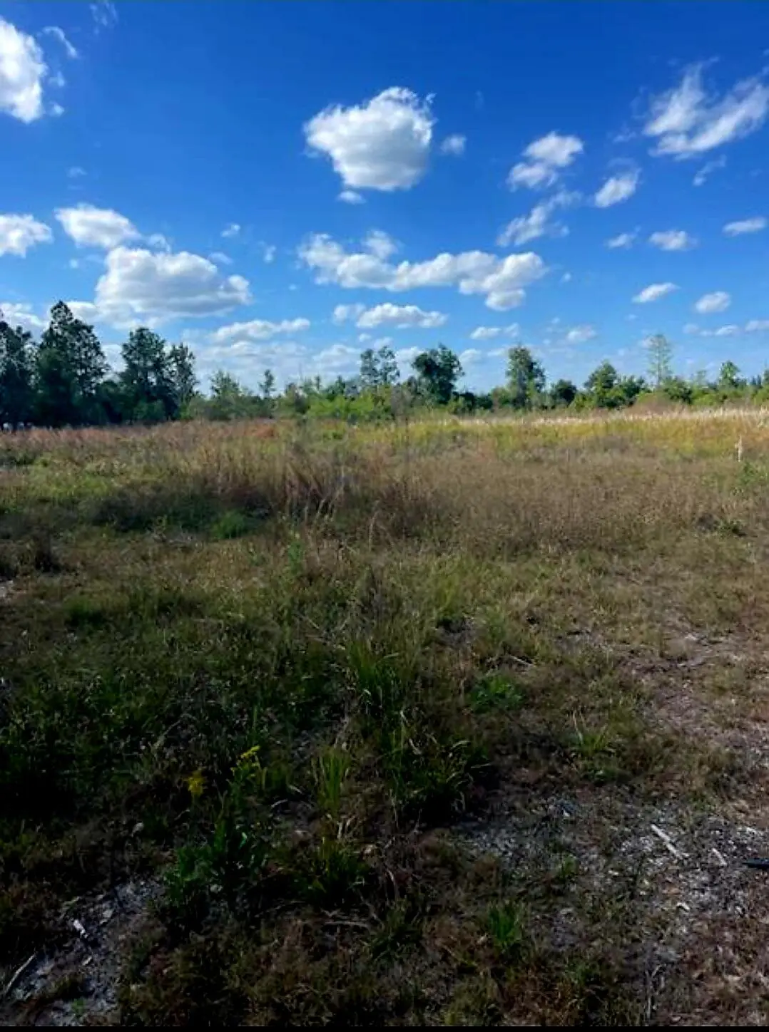 1108306 Oil Well Road, Clermont, FL 34714 - #1