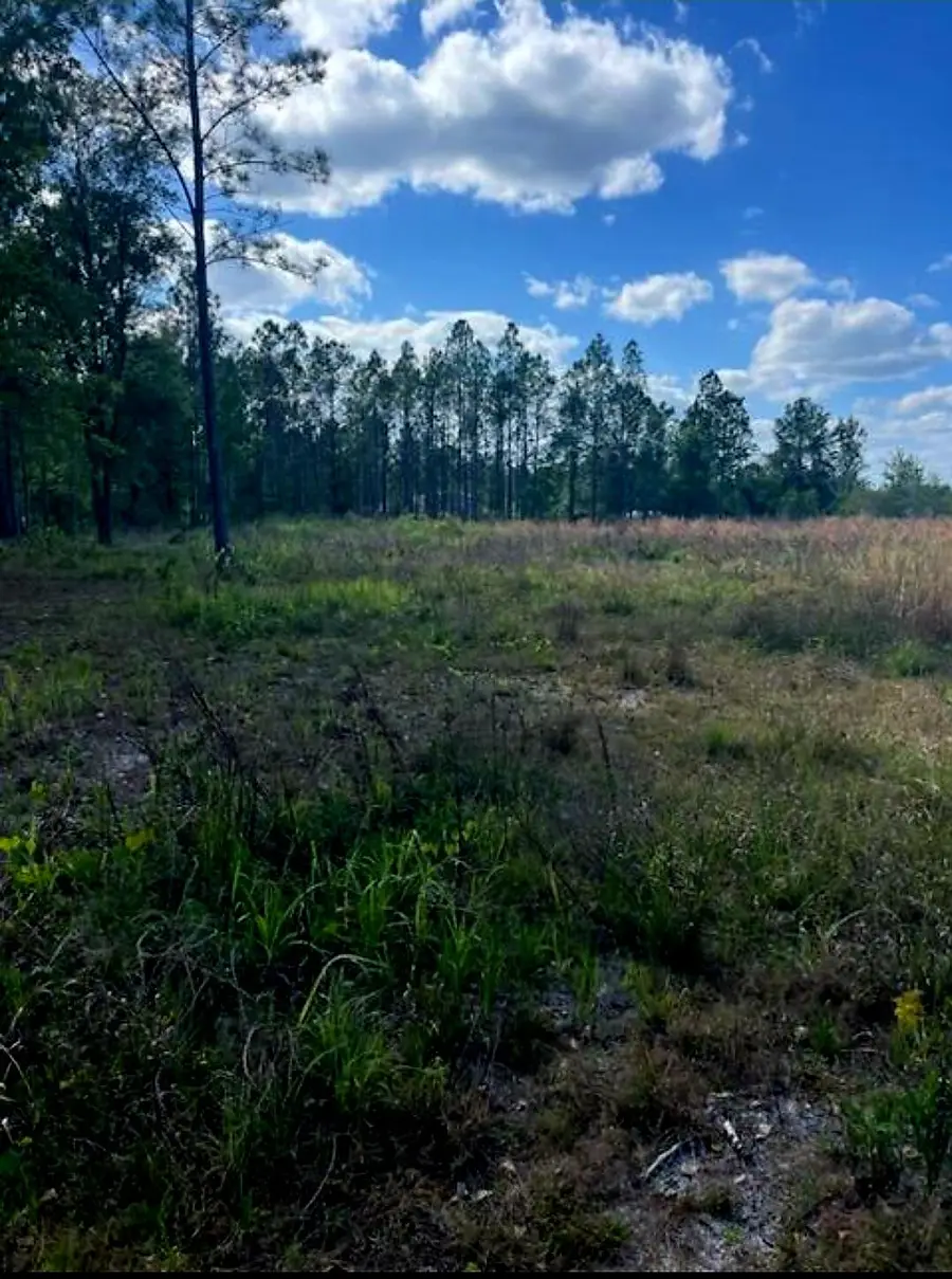 1108306 Oil Well Road, Clermont, FL 34714 - #3
