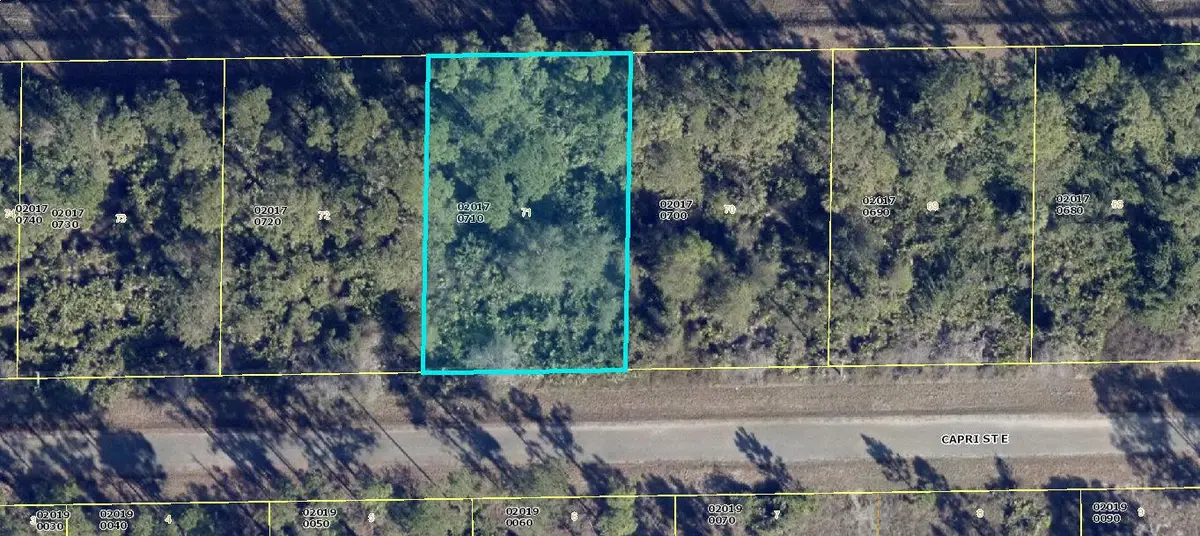 1113 Capri Street E, Lehigh Acres, FL 33974 - #1