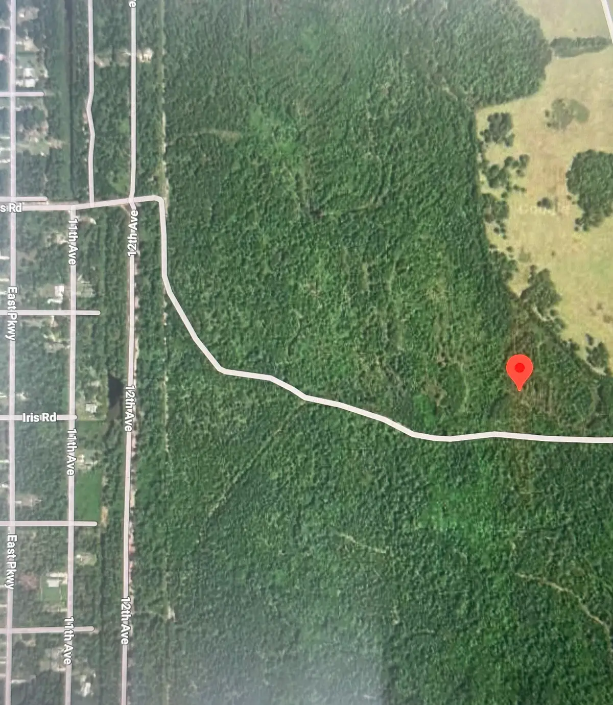 No Street Street, Deland, FL 32720 - #1