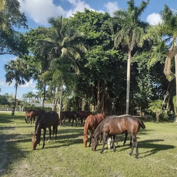 1100 D Road, ,, FL 33470