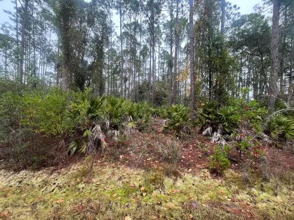 222 Marie Avenue, ,, FL 32139